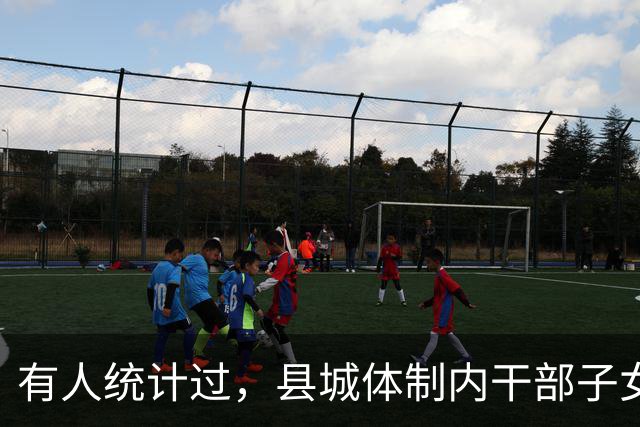 有人统计过，县城体制内干部子女基本在机关事业、电力等国企工作